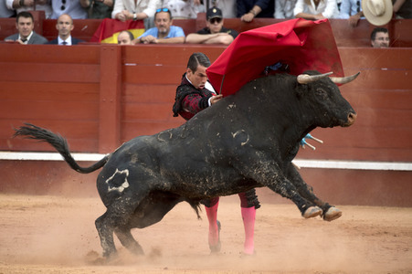 Letzter öffentlicher Auftritt von Juan Carlos I. beim Stierkampf in Aranjuez