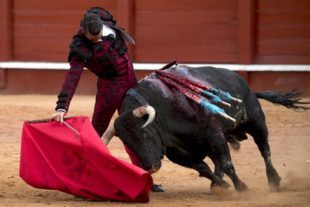 Letzter öffentlicher Auftritt von Juan Carlos I. beim Stierkampf in Aranjuez