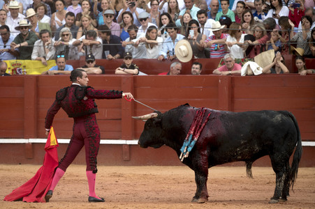 Letzter öffentlicher Auftritt von Juan Carlos I. beim Stierkampf in Aranjuez