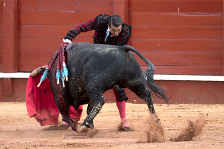 Letzter öffentlicher Auftritt von Juan Carlos I. beim Stierkampf in Aranjuez