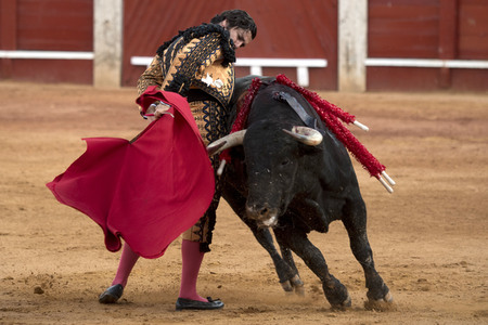 Letzter öffentlicher Auftritt von Juan Carlos I. beim Stierkampf in Aranjuez