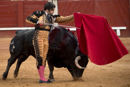 Letzter öffentlicher Auftritt von Juan Carlos I. beim Stierkampf in Aranjuez