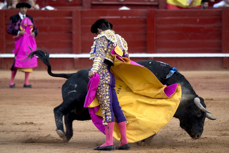 Letzter öffentlicher Auftritt von Juan Carlos I. beim Stierkampf in Aranjuez