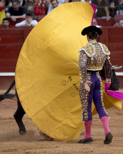 Letzter öffentlicher Auftritt von Juan Carlos I. beim Stierkampf in Aranjuez