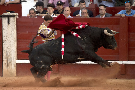 Letzter öffentlicher Auftritt von Juan Carlos I. beim Stierkampf in Aranjuez