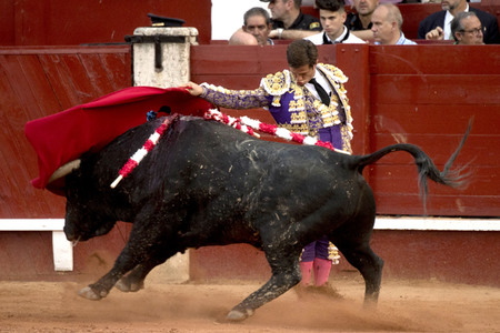 Letzter öffentlicher Auftritt von Juan Carlos I. beim Stierkampf in Aranjuez