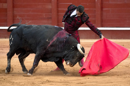 Letzter öffentlicher Auftritt von Juan Carlos I. beim Stierkampf in Aranjuez
