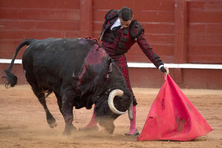 Letzter öffentlicher Auftritt von Juan Carlos I. beim Stierkampf in Aranjuez