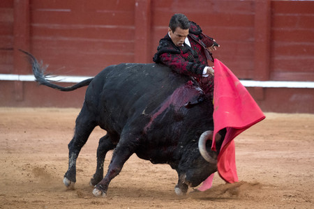 Letzter öffentlicher Auftritt von Juan Carlos I. beim Stierkampf in Aranjuez