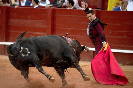 Letzter öffentlicher Auftritt von Juan Carlos I. beim Stierkampf in Aranjuez