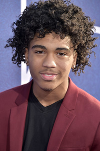 Serienpremiere 'Euphoria' in Los Angeles