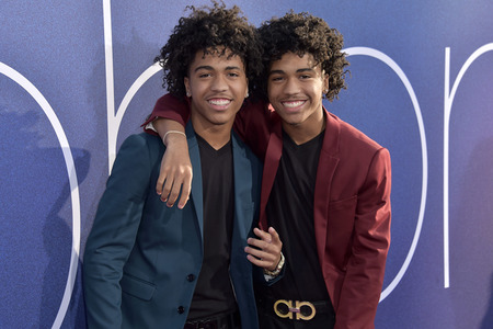 Serienpremiere 'Euphoria' in Los Angeles