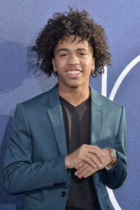 Serienpremiere 'Euphoria' in Los Angeles