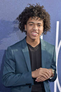 Serienpremiere 'Euphoria' in Los Angeles