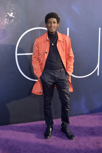 Serienpremiere 'Euphoria' in Los Angeles