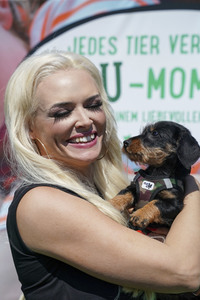 Daniela Katzenberger eröffnet eine schwimmende Hundewiese in Düsseldorf