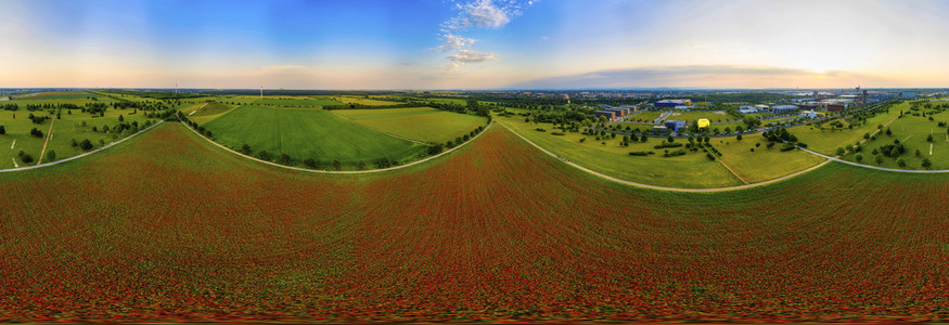 Mohnfelder am Kronsberg in Hannover