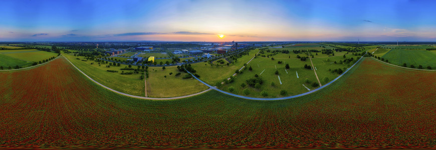 Mohnfelder am Kronsberg in Hannover