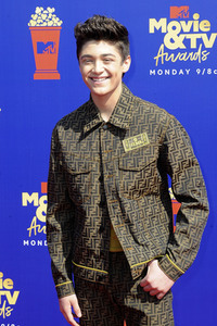 MTV Movie & TV Awards 2019 in Los Angeles