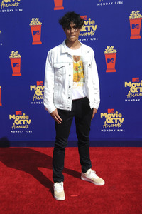 MTV Movie & TV Awards 2019 in Los Angeles