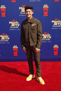 MTV Movie & TV Awards 2019 in Los Angeles