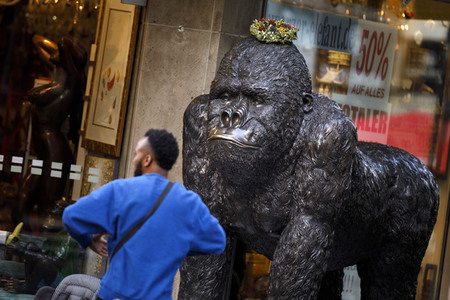 Symbolfoto Evolution