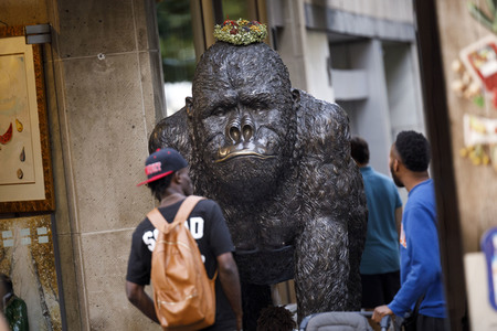 Symbolfoto Evolution