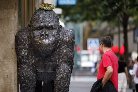 Symbolfoto Evolution