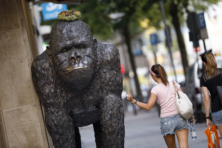 Symbolfoto Evolution