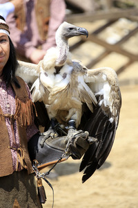 Pressetermin 'Unter Geiern - Der Sohn des Bärenjägers' in Bad Segeberg