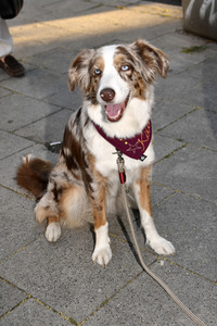 ARD Degeto Empfang, Filmfest München 2019