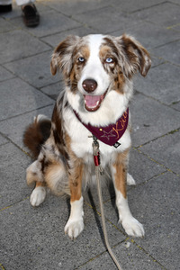 ARD Degeto Empfang, Filmfest München 2019