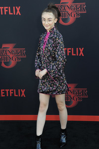 Season3 Premiere 'Stranger Things' in Santa Monica