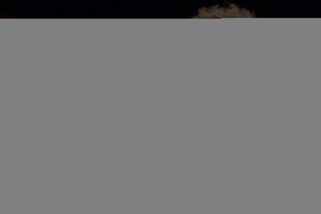 Custo Barcelona Fashion Show auf der Mercedes-Benz Fashion Week Madrid Spring/Summer 2020