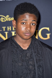 Filmpremiere 'Der König der Löwen' in Los Angeles