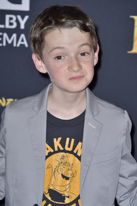 Filmpremiere 'Der König der Löwen' in Los Angeles