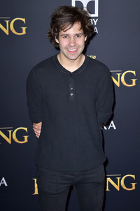 Filmpremiere 'Der König der Löwen' in Los Angeles