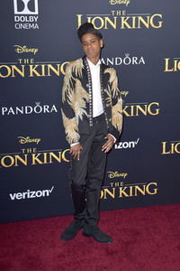 Filmpremiere 'Der König der Löwen' in Los Angeles