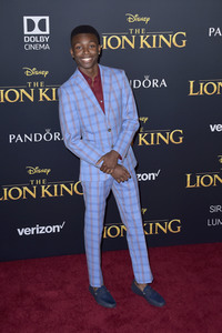 Filmpremiere 'Der König der Löwen' in Los Angeles