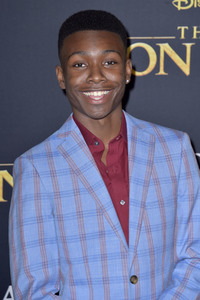 Filmpremiere 'Der König der Löwen' in Los Angeles