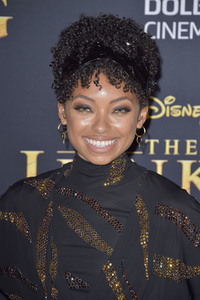 Filmpremiere 'Der König der Löwen' in Los Angeles