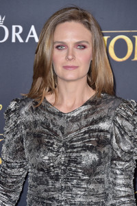 Filmpremiere 'Der König der Löwen' in Los Angeles