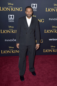 Filmpremiere 'Der König der Löwen' in Los Angeles