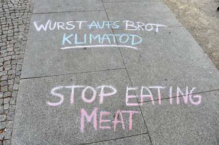 'Fridays for Future' Schülerdemonstration in Berlin