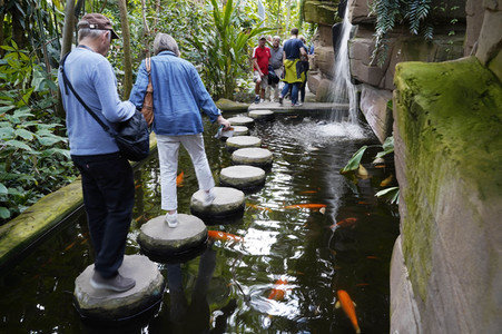 Botanische Nacht 2019 in Berlin