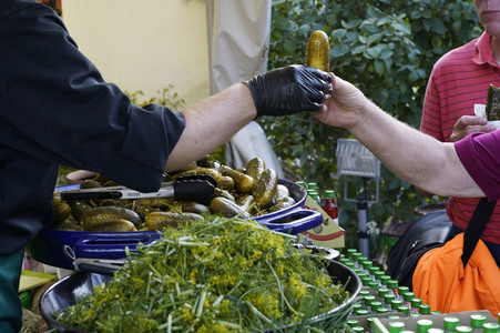 Botanische Nacht 2019 in Berlin