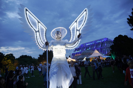 Botanische Nacht 2019 in Berlin
