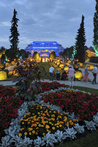 Botanische Nacht 2019 in Berlin