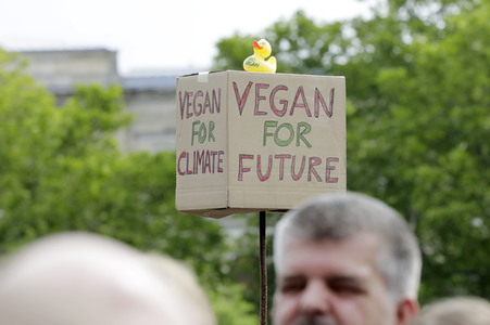 'Fridays for Future' Schülerdemonstration in Berlin