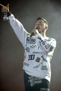 Deichbrand Festival 2019 in Wurster Nordseeküste